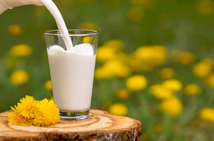 Perbedaan cara menyimpan susu segar, susu uht, dan susu pasteurisasi greenfields.