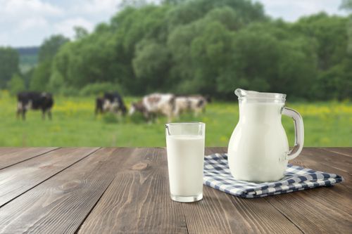 6 Fakta Unik Susu Sapi yang Belum Diketahui Banyak Orang!