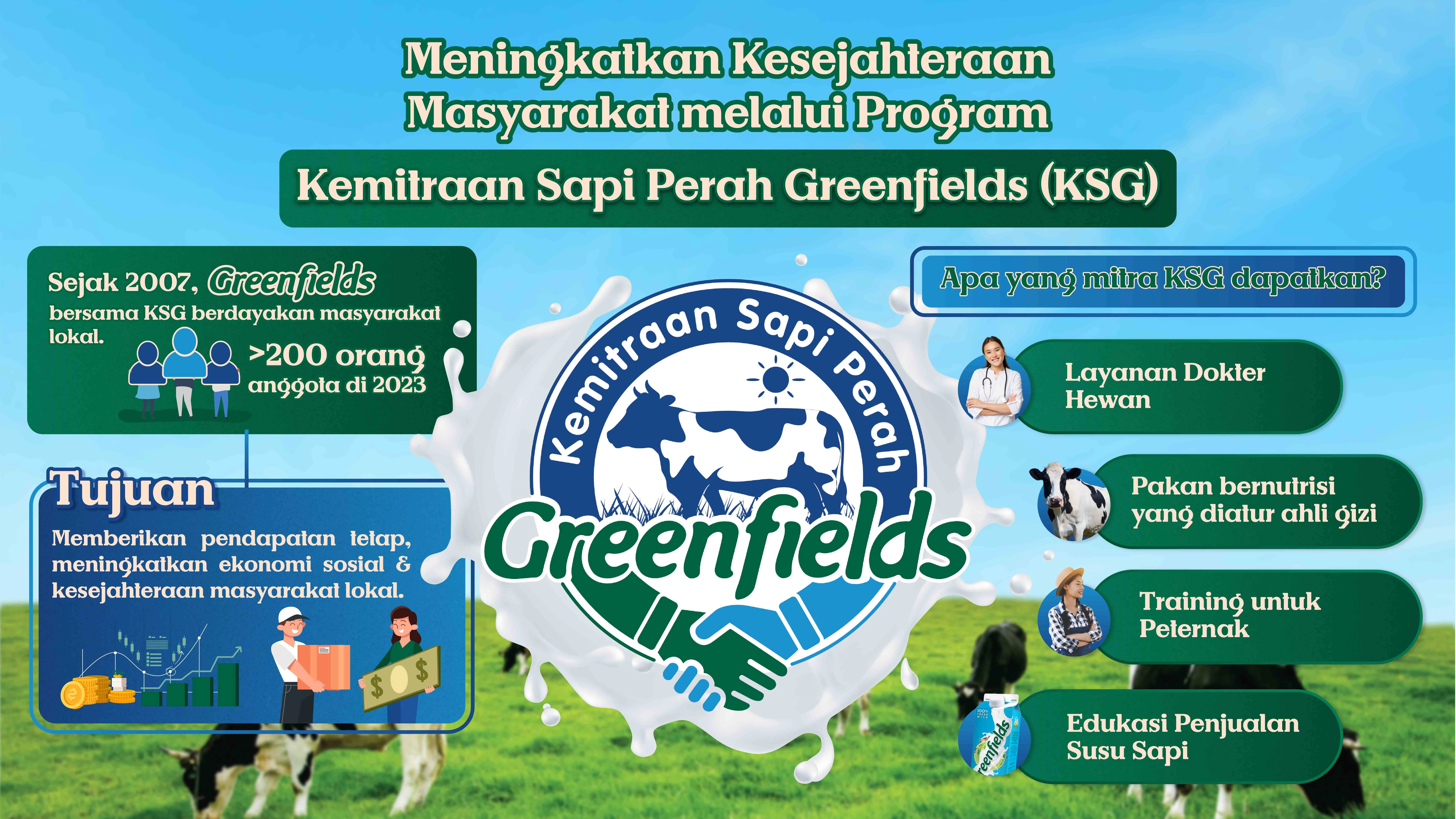 Kemitraan Sapi Greenfields (KSG) - Upaya Greenfields Meningkatkan Kesejahteraan Komunitas Lokal